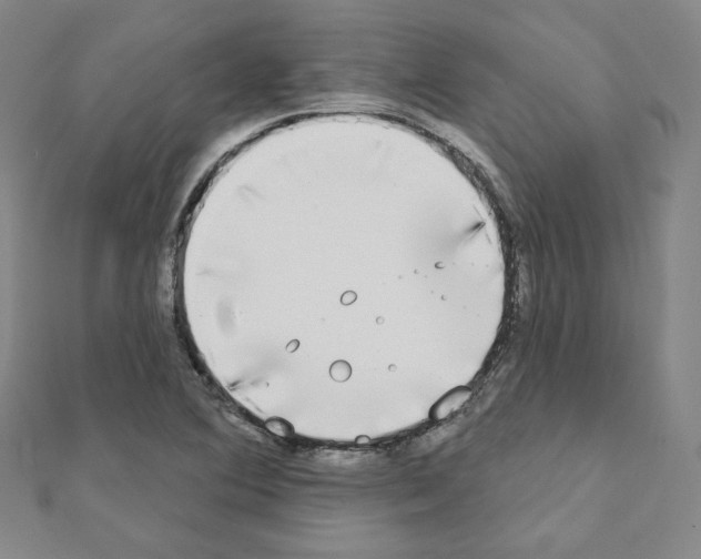 X0000111221364200908131052