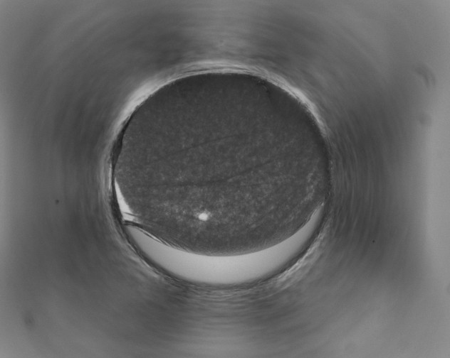 X0000111221365200908131052