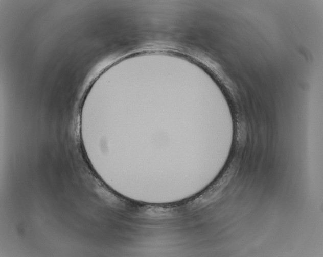 X0000111221366200908131052
