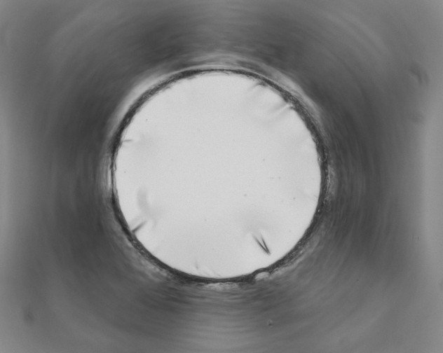 X0000111221368200908131052