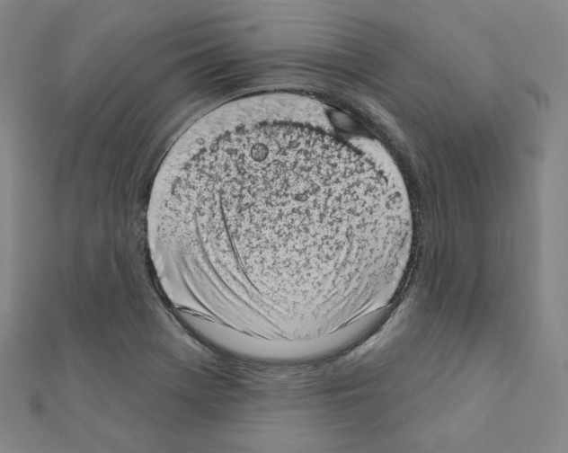 X0000111221369200908131052