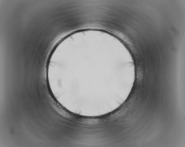 X0000111221372200908131052