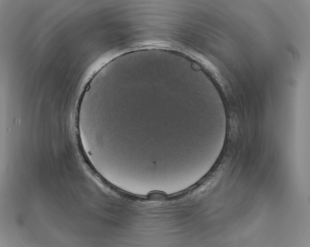 X0000111221373200908131052
