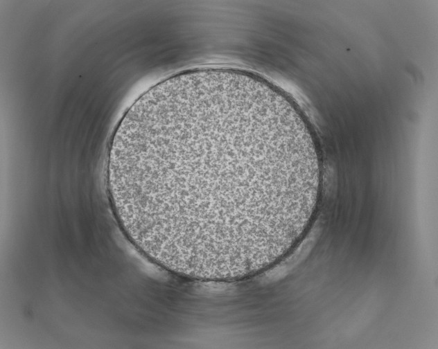 X0000111221374200908131052
