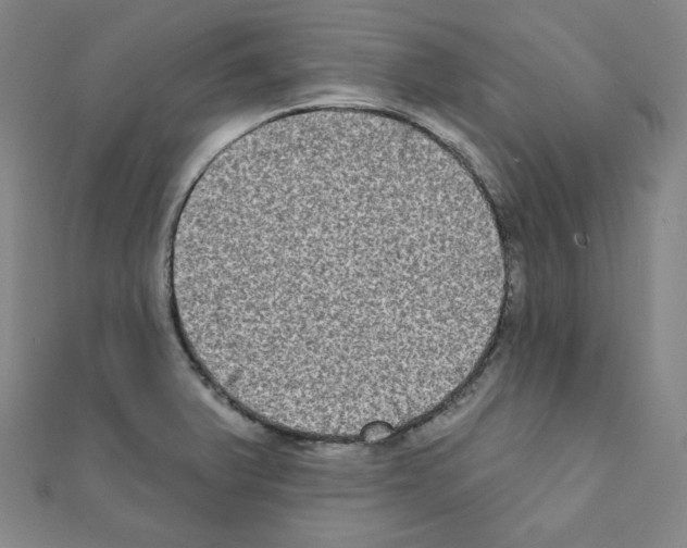 X0000111221375200908131052