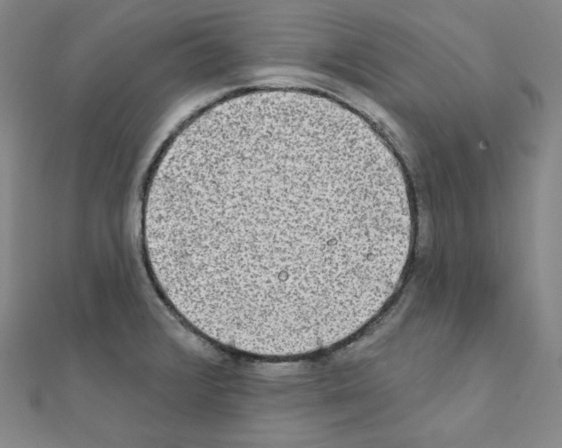 X0000111221376200908131052