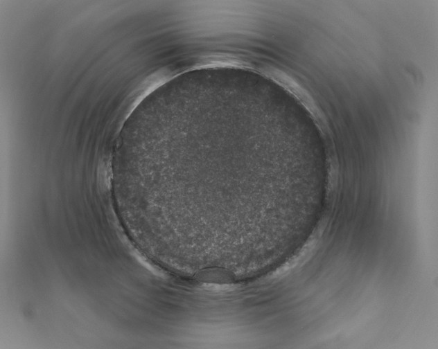 X0000111221377200908131052