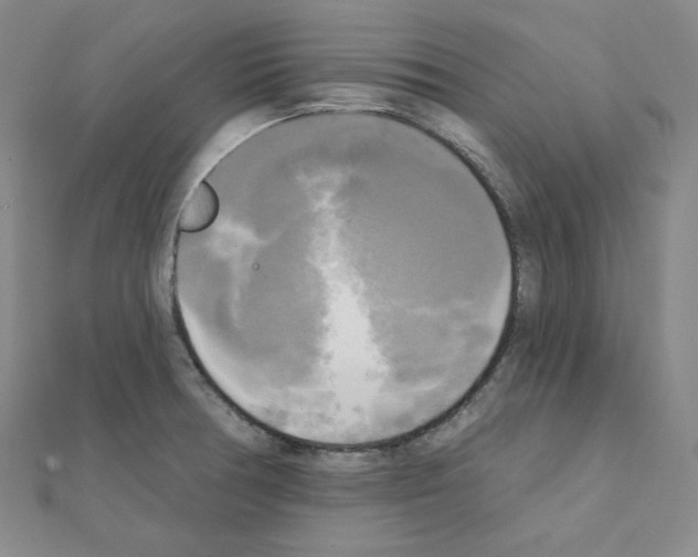 X0000111221378200908131052