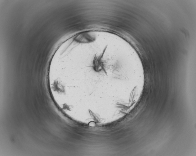 X0000111221379200908131052