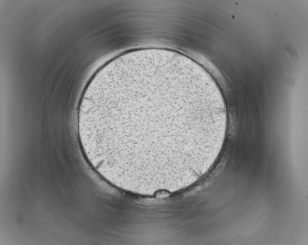 X0000111221380200908131052