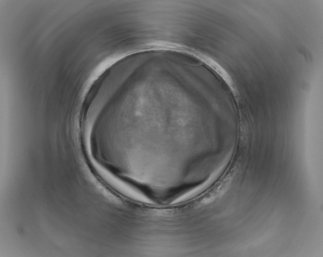 X0000111221381200908131051