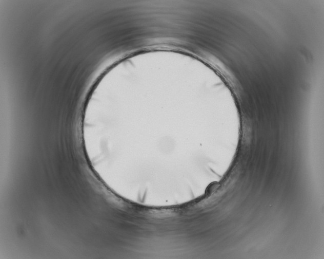 X0000111221384200908131051