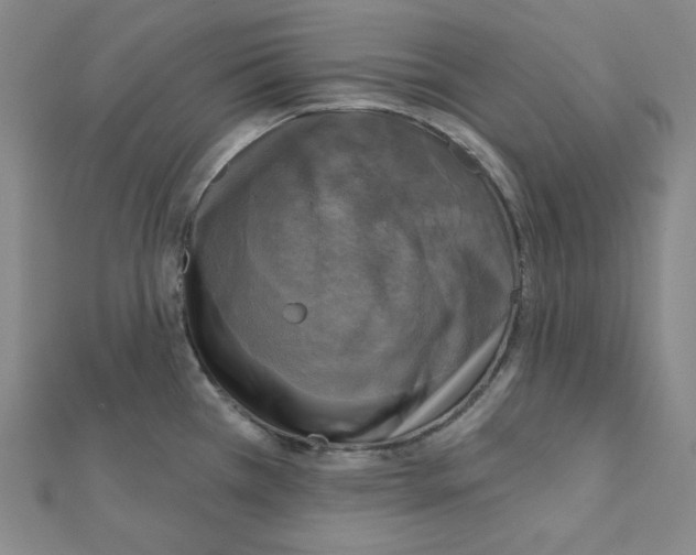 X0000111221385200908131051