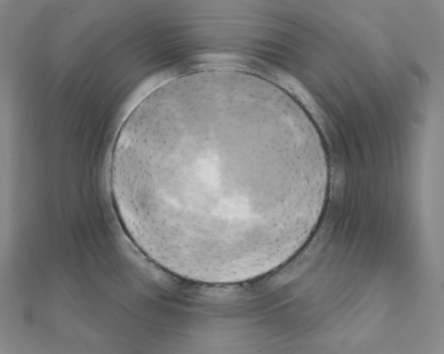 X0000111221386200908131051