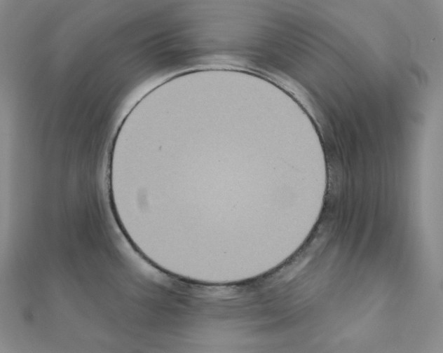 X0000111221387200908131051