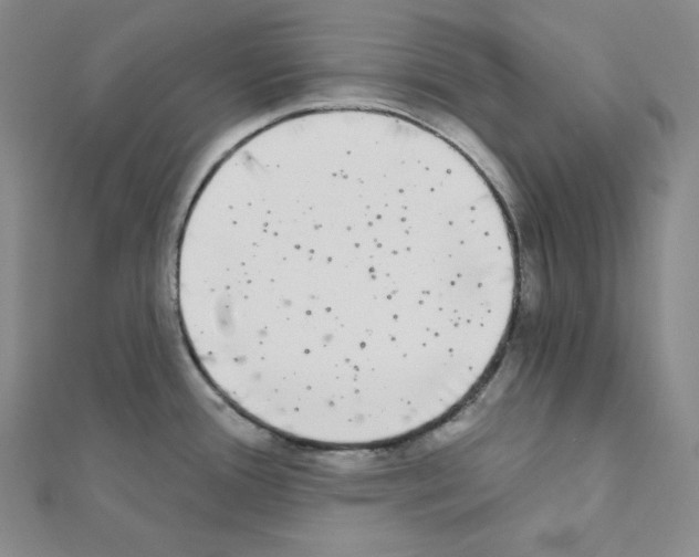 X0000111221388200908131051
