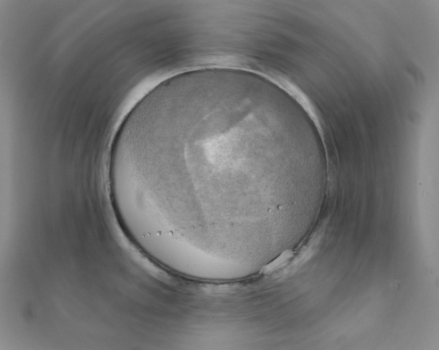 X0000111221389200908131051