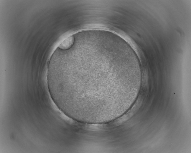 X0000111221390200908131051