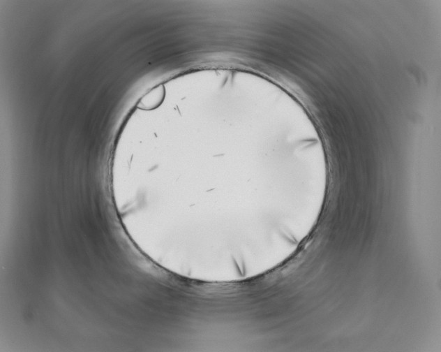 X0000111221392200908131051