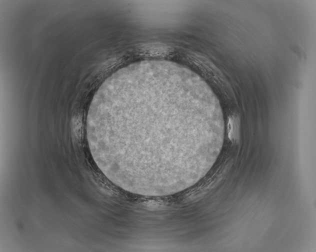 X0000111221395200908131051