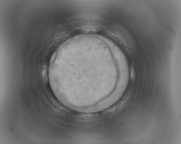X0000111221396200908131051