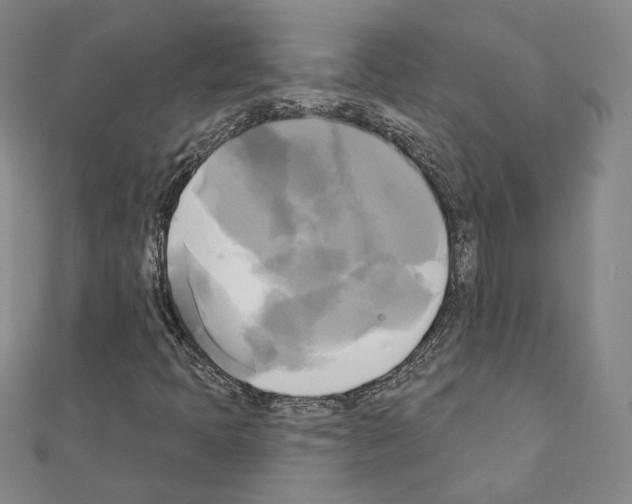 X0000111221397200908131051