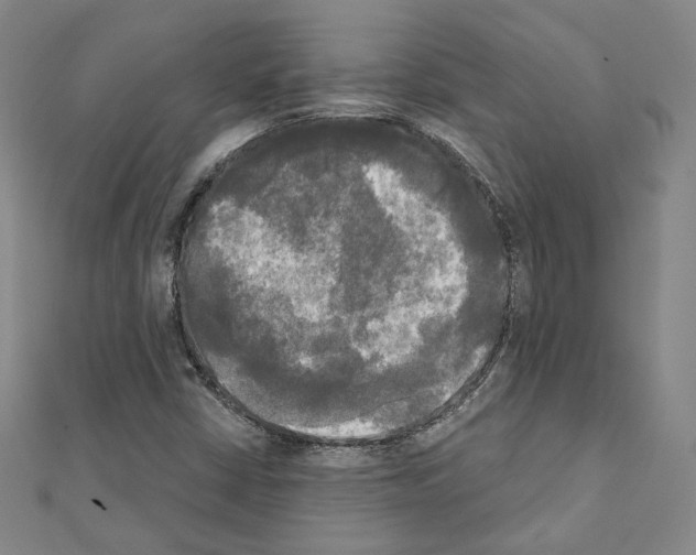 X0000111221402200908131051