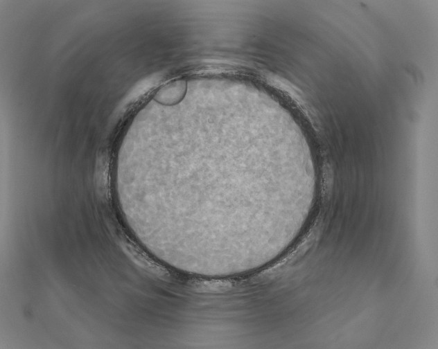 X0000111221403200908131051