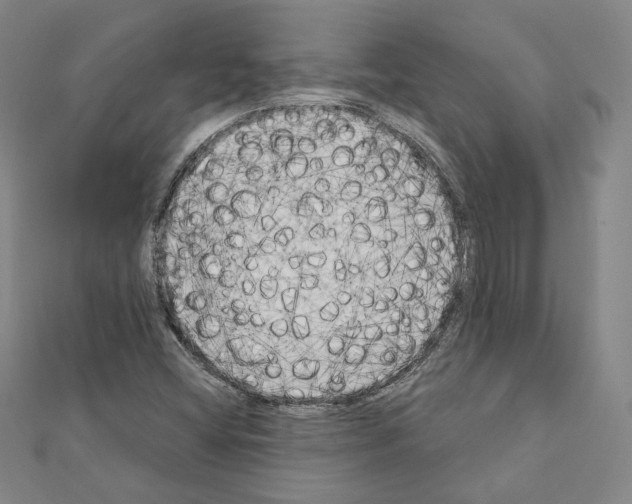X0000111221404200908131051