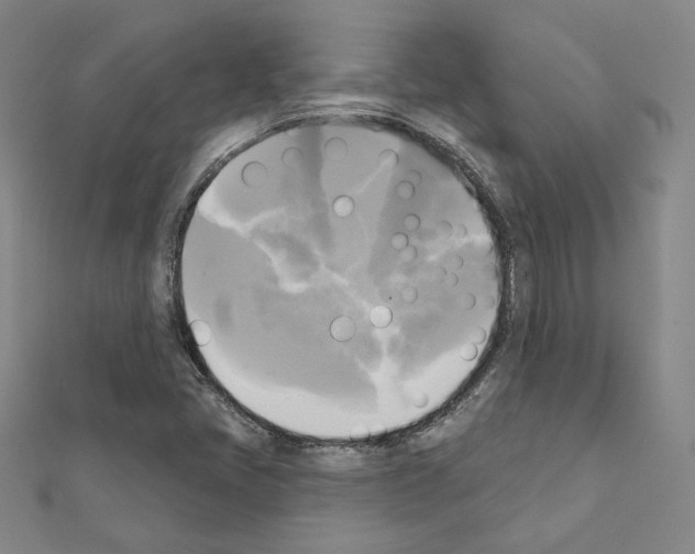 X0000111221405200908131051