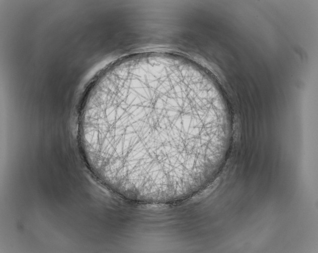 X0000111221406200908131051