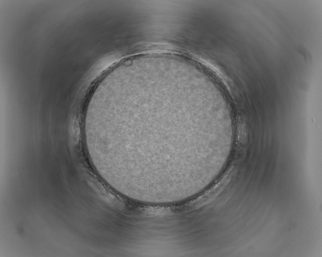 X0000111221407200908131051