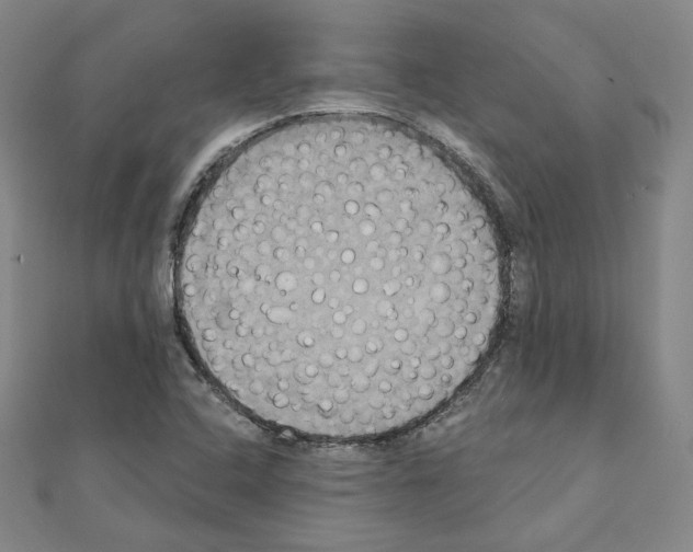 X0000111221408200908131051