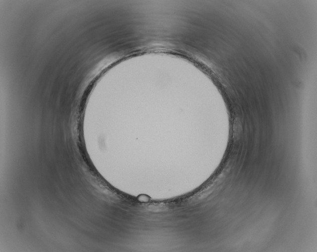 X0000111221410200908131051