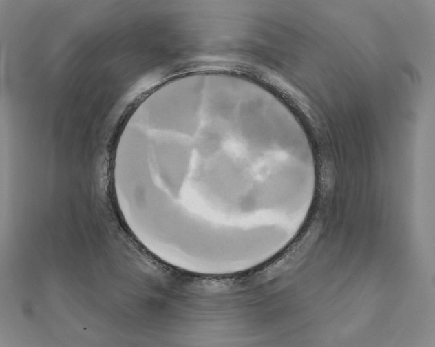 X0000111221411200908131051
