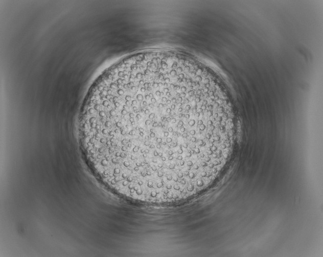 X0000111221412200908131051
