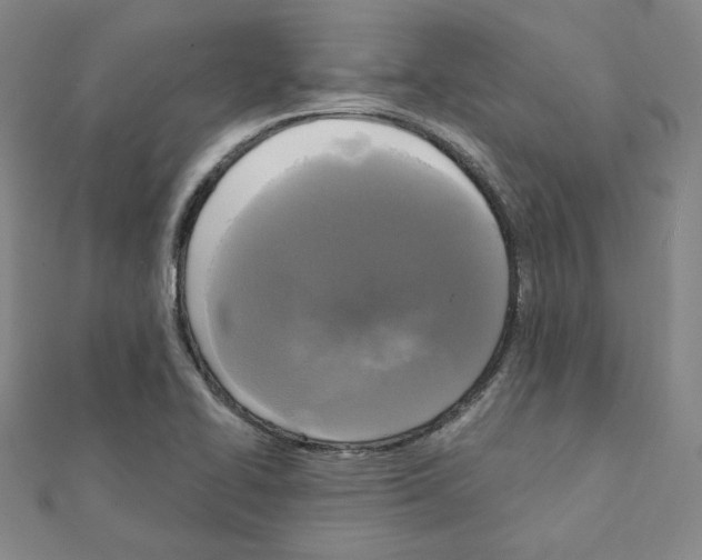 X0000111221414200908131051