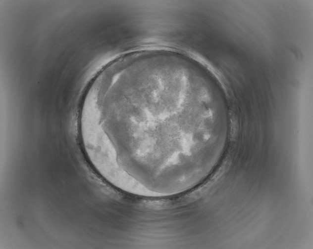 X0000111221415200908131051