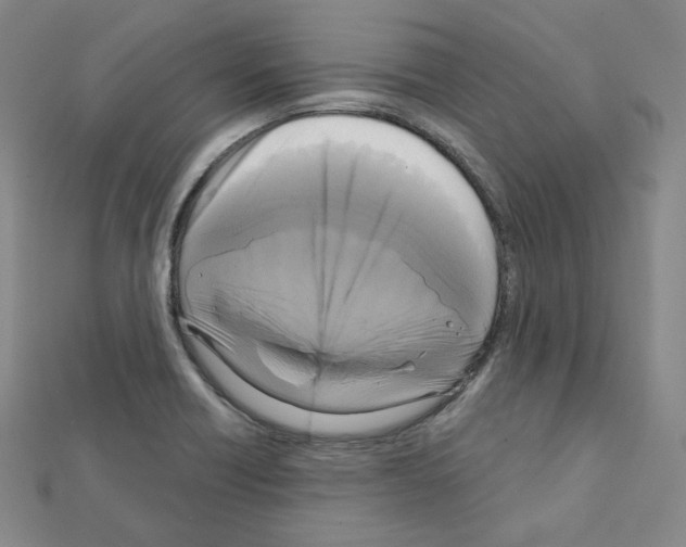 X0000111221418200908131051