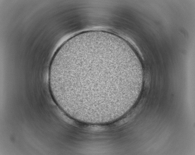X0000111221420200908131051
