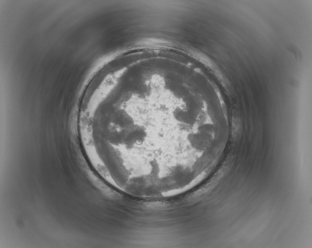 X0000111221421200908131051