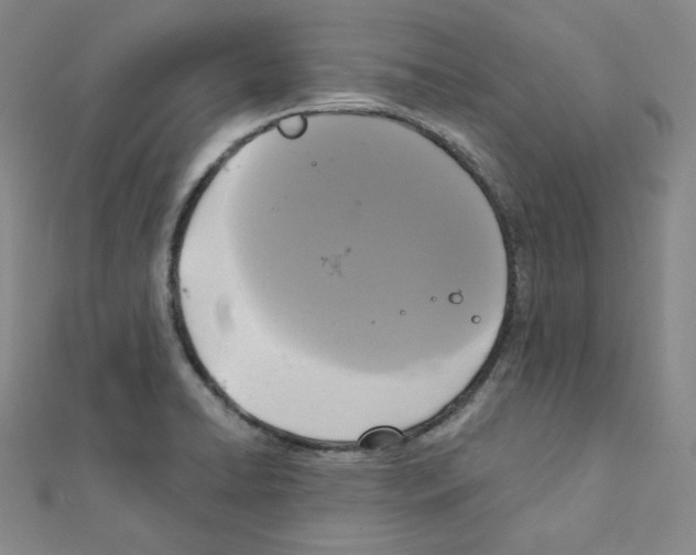 X0000111221422200908131051