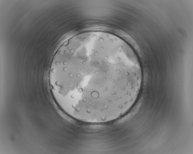 X0000111221425200908131051