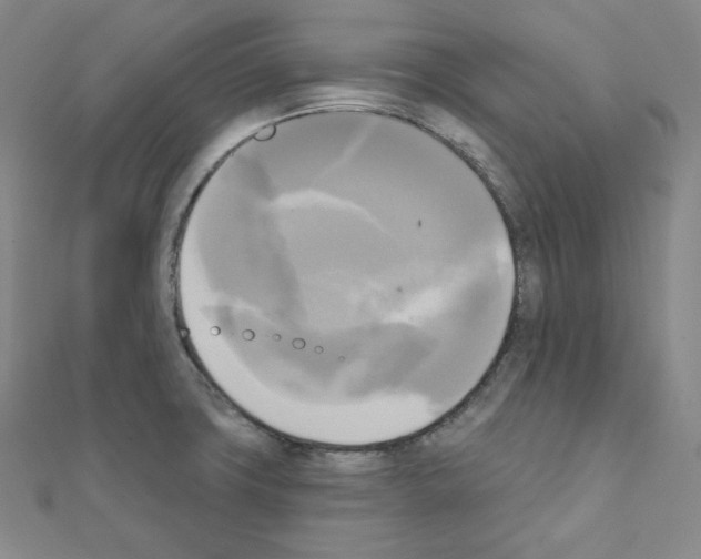 X0000111221427200908131051