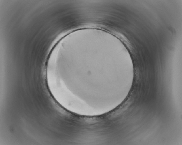 X0000111221428200908131051