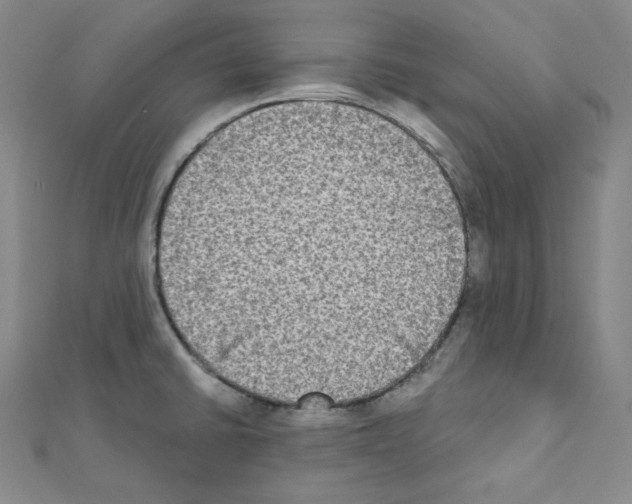 X0000111221430200908131051