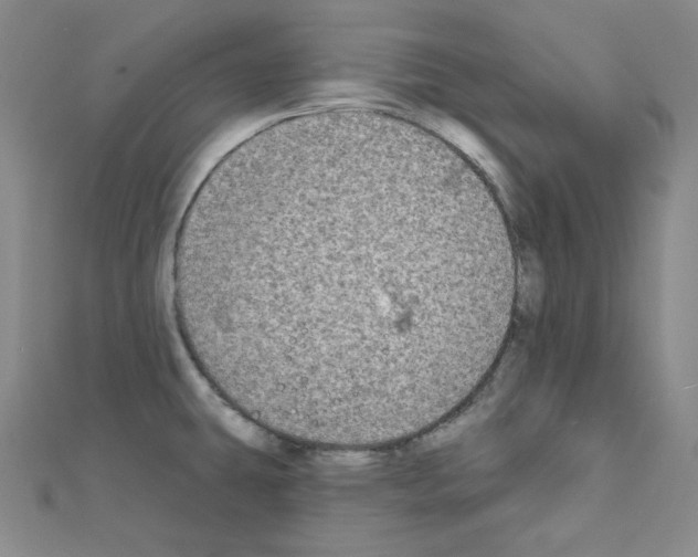 X0000111221431200908131051