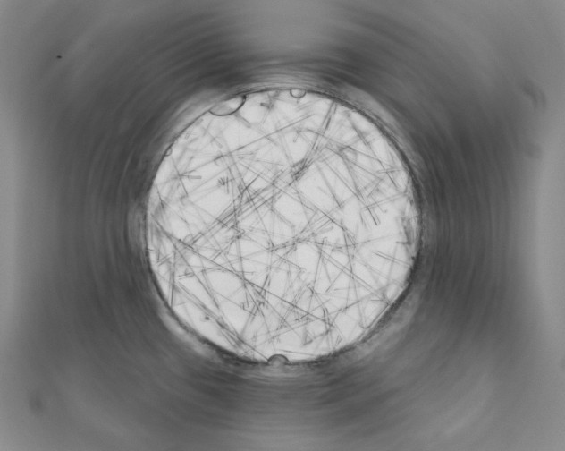 X0000111221433200908131051