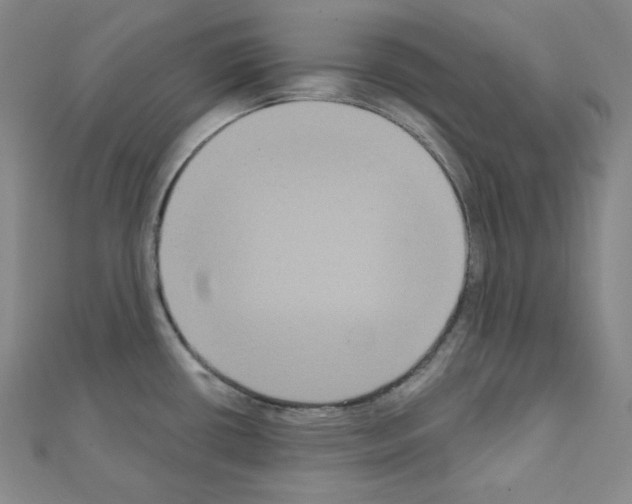 X0000111221434200908131051