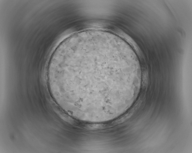 X0000111221435200908131051